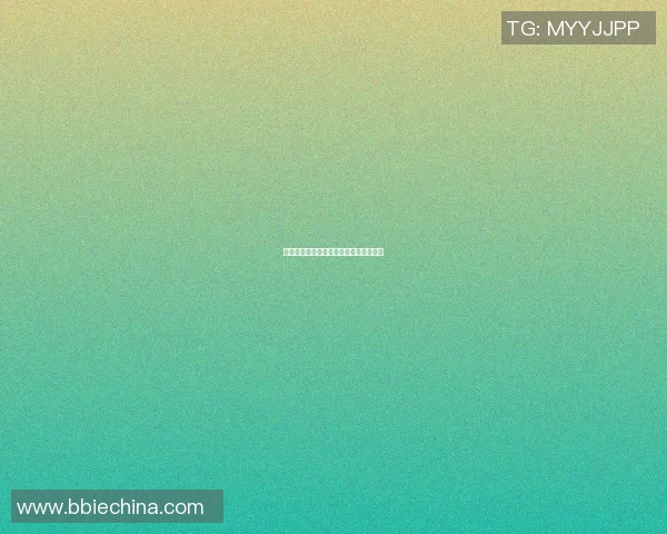 山科篮球明星的成长之路与辉煌成就探索